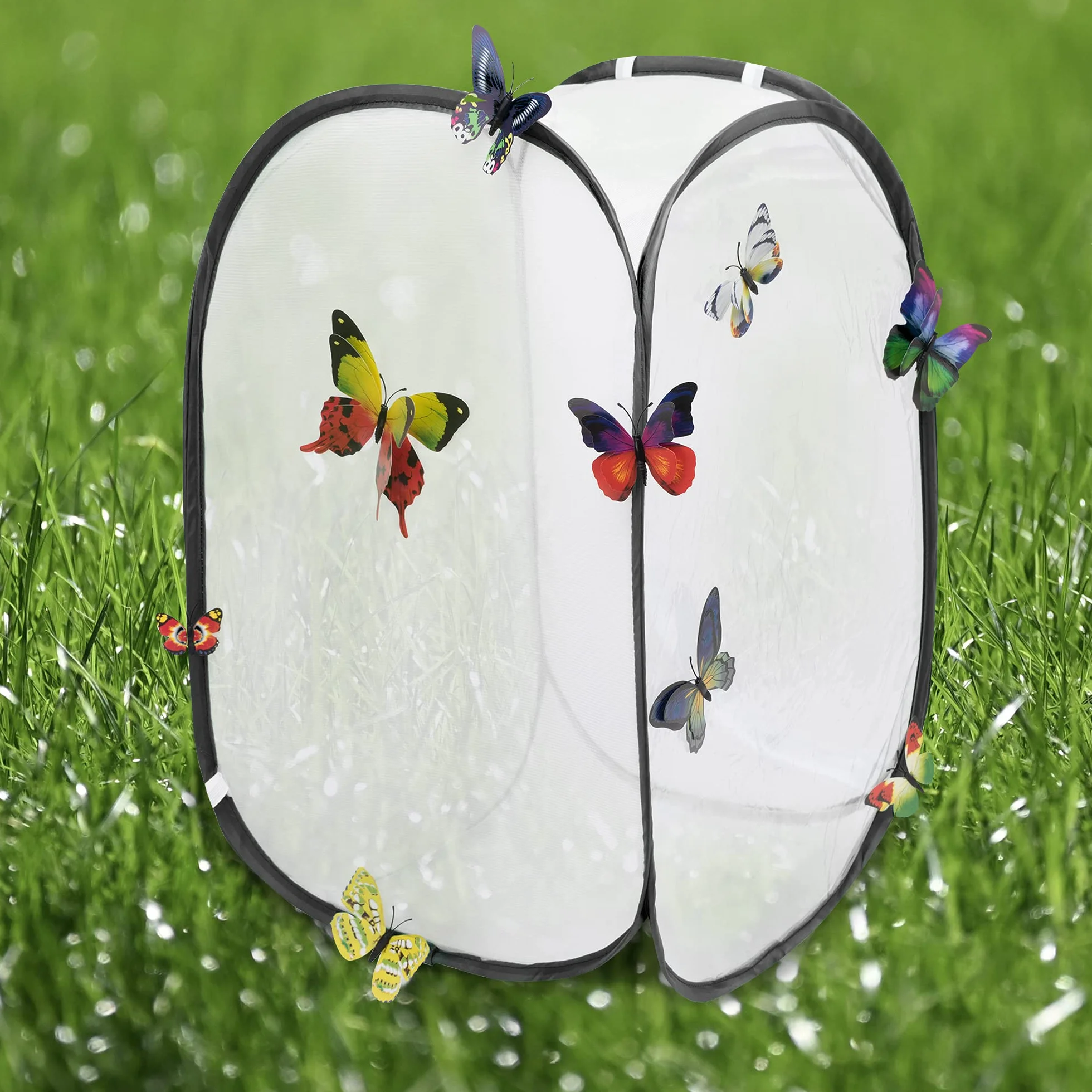 Hyindoor Insekt Und Schmetterling Habitat Käfig Terrarium Schutz Käfig Schwarz