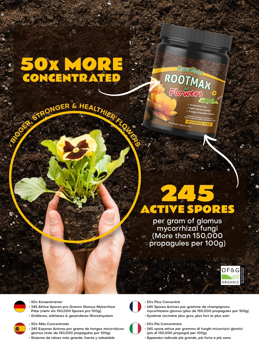 RootMax Flower: Mykorrhiza-Bewurzelungspulver & Wurzelaktivator für Stecklinge & Pflanzen - Verbessertes Wurzelwachstum für gesündere Gärten - Behandelt bis zu 100 Pflanzen (500 g/17.63 oz)