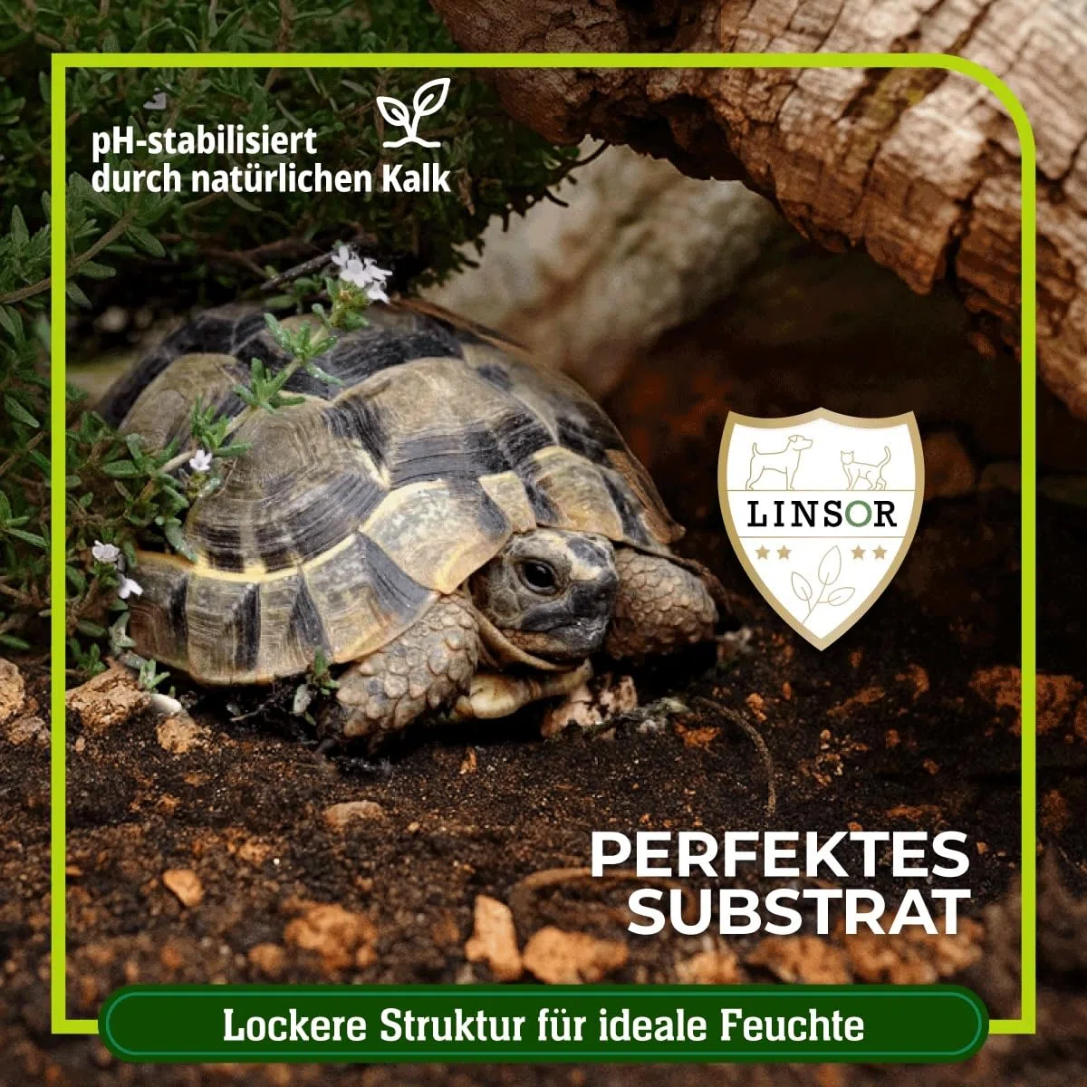 Schildkrötensubstrat 40 L – natürliche Schildkrötenerde ohne Dünger, feinkrümelig und grabfähig für Landschildkröten als Erde mit natürlicher Struktur