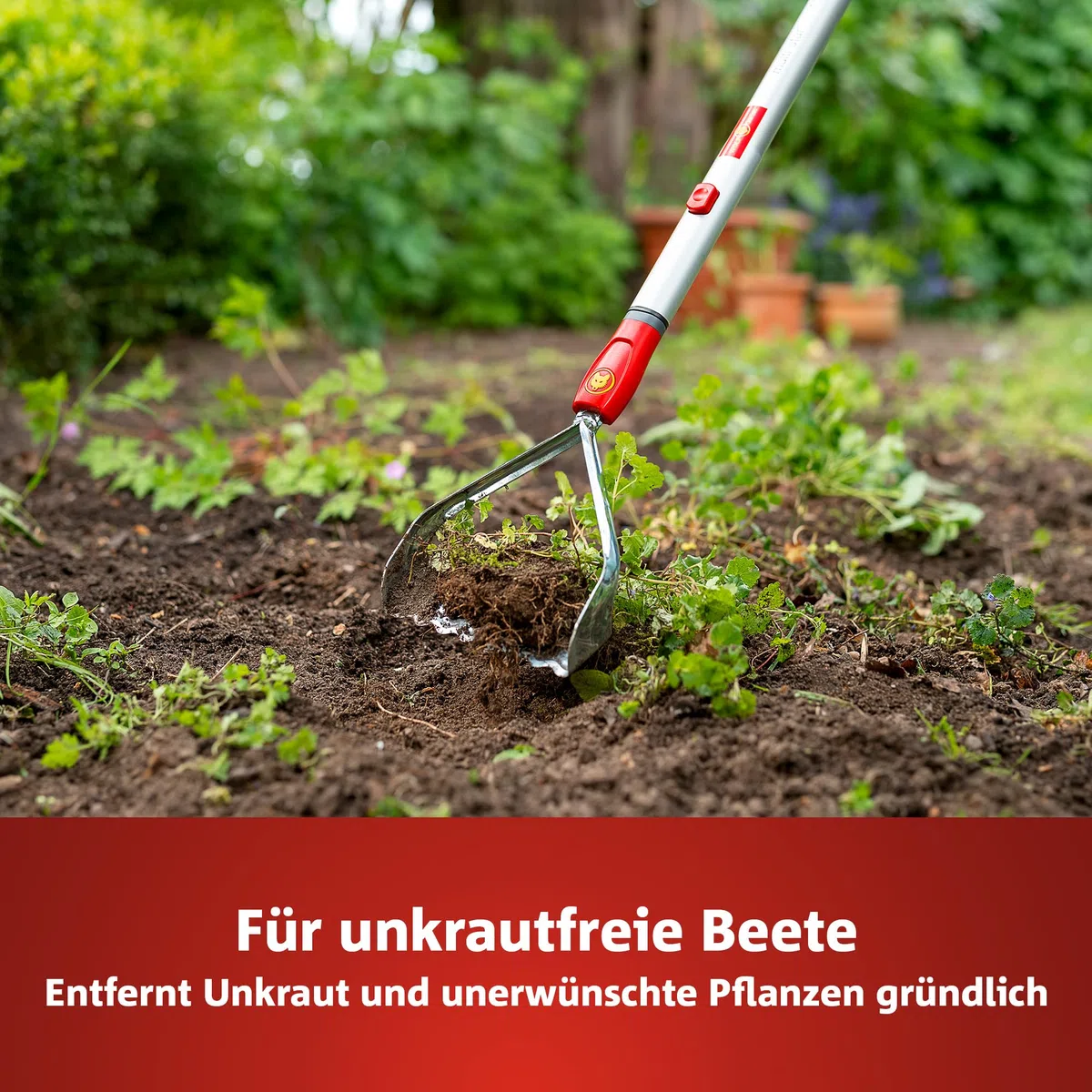 WOLF-Garten multi-star Unkrautkuli-Aufsatz RF-M (15cm breit, zum Unkrautjäten auf leichten & sandigen Böden, langlebig & witterungsbeständig, passend für multi-star-System) 71AAA015650
