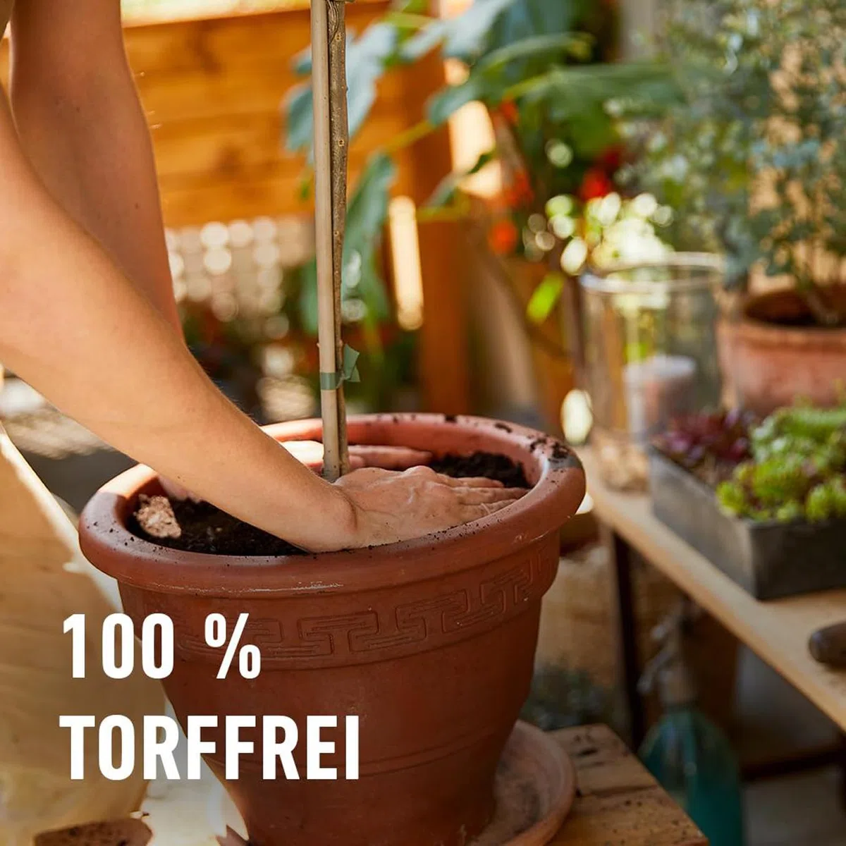 COMPO Bio Mediterrane Pflanzenerde torffrei für die Bildung schöner, intensiver Blüten und Früchte 40L