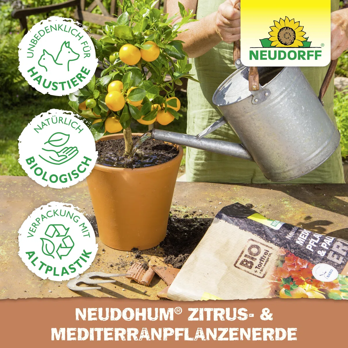 Neudorff NeudoHum Zitruserde 40L - torffreie mediterrane PflanzenErde - Bio Olivenbaum Erde für alle Mediterranpflanzen wie z.B. Palmen, Oleander und Zitronen - Zitruspflanzenerde ohne Torf