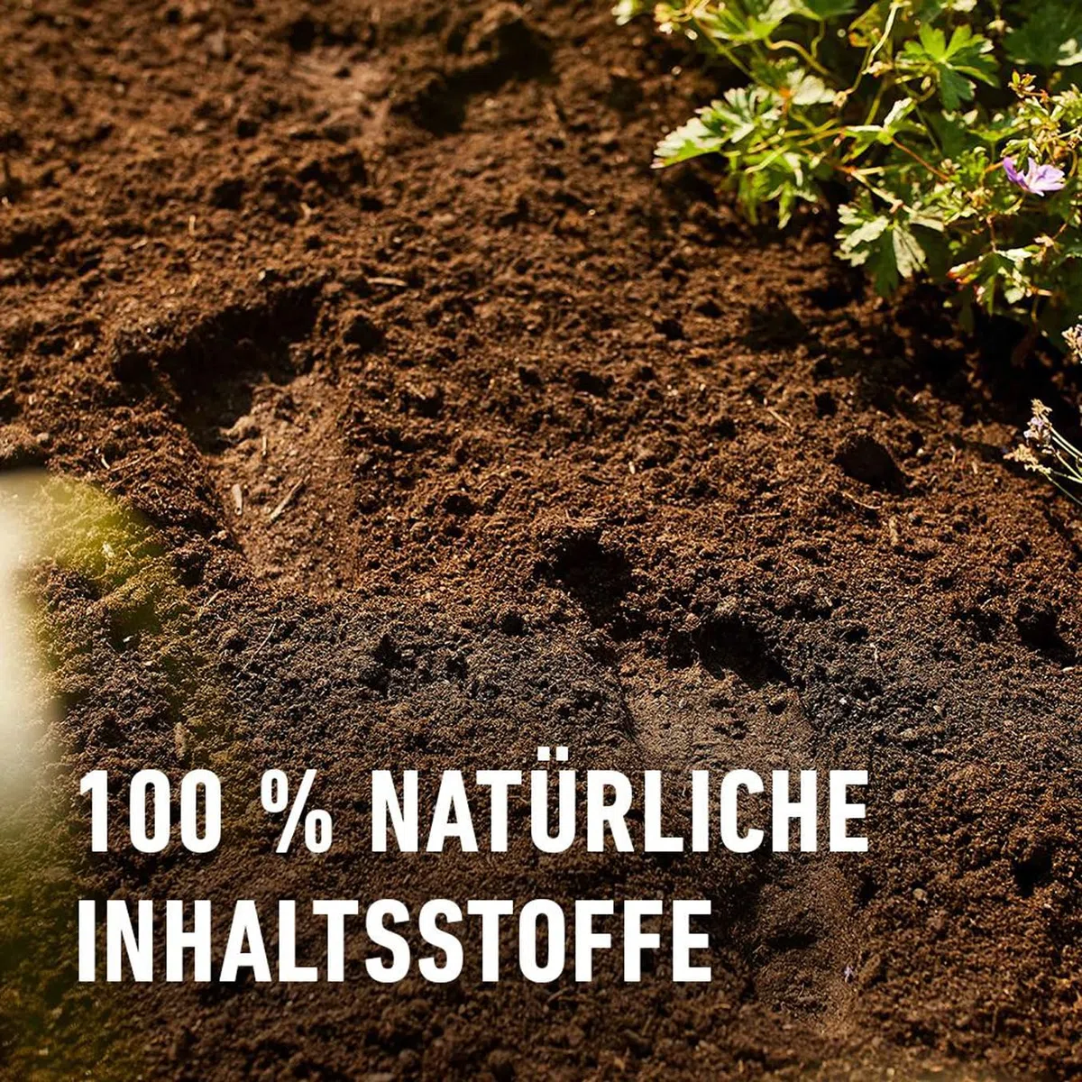COMPO Bio Mediterrane Pflanzenerde torffrei für die Bildung schöner, intensiver Blüten und Früchte 40L