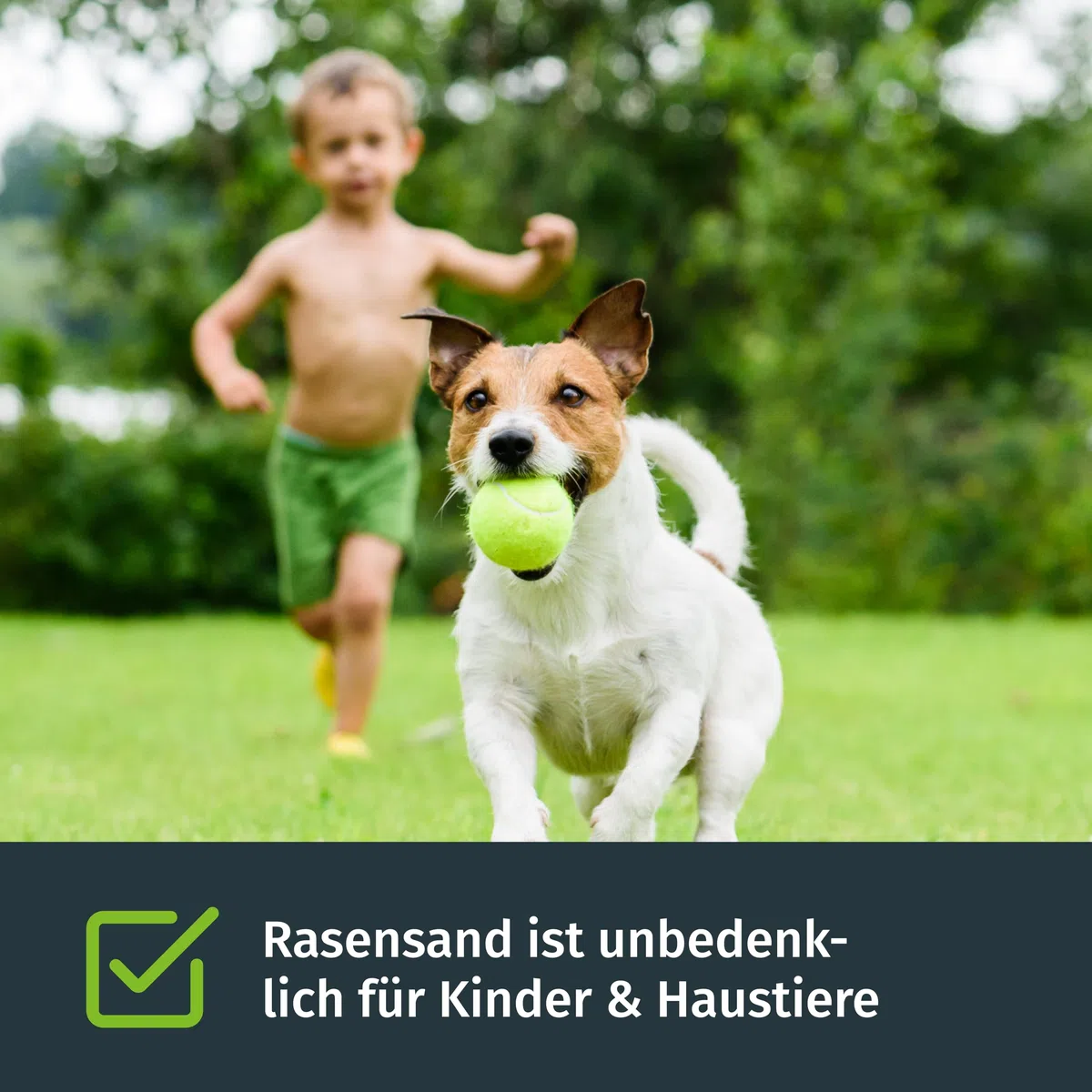 Turbogrün Rasensand, grober Quarzsand 0,2–2 mm, ideal zum Rasen sanden und Aerifizieren, verbessert Drainage und Bodenstruktur, für Garten und Sportflächen, 18 kg Sack
