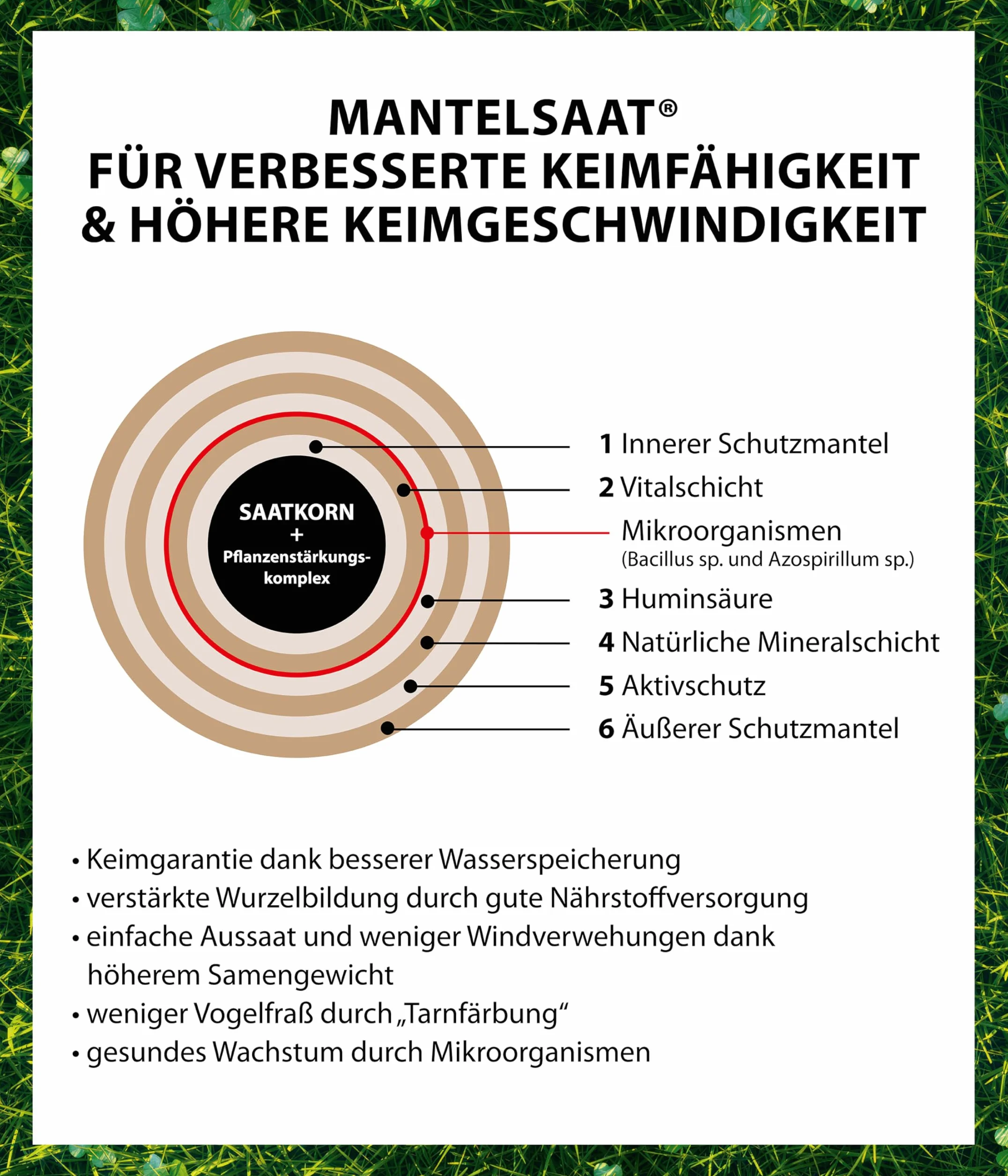 Dehner Saatgut Rasensamen, Mikroklee-Rasen, hochwertige Saatgutmischung, selbstdüngend/selbstkeimend, 625 g, für ca. 25 m², natur