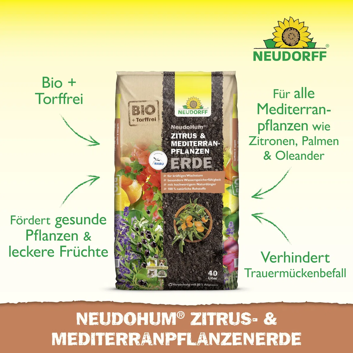 Neudorff NeudoHum Zitruserde 40L - torffreie mediterrane PflanzenErde - Bio Olivenbaum Erde für alle Mediterranpflanzen wie z.B. Palmen, Oleander und Zitronen - Zitruspflanzenerde ohne Torf