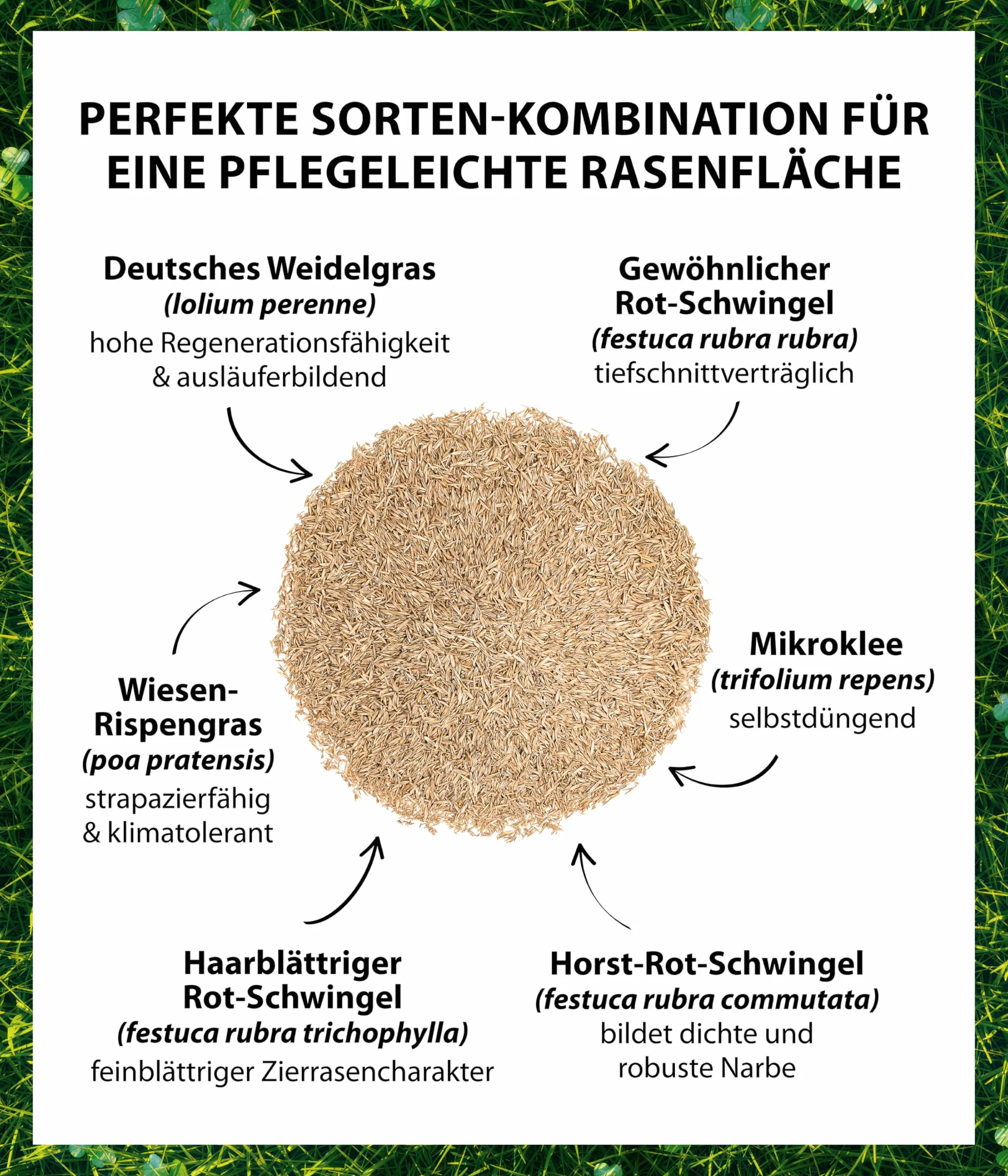 Dehner Saatgut Rasensamen, Mikroklee-Rasen, hochwertige Saatgutmischung, selbstdüngend/selbstkeimend, 625 g, für ca. 25 m², natur