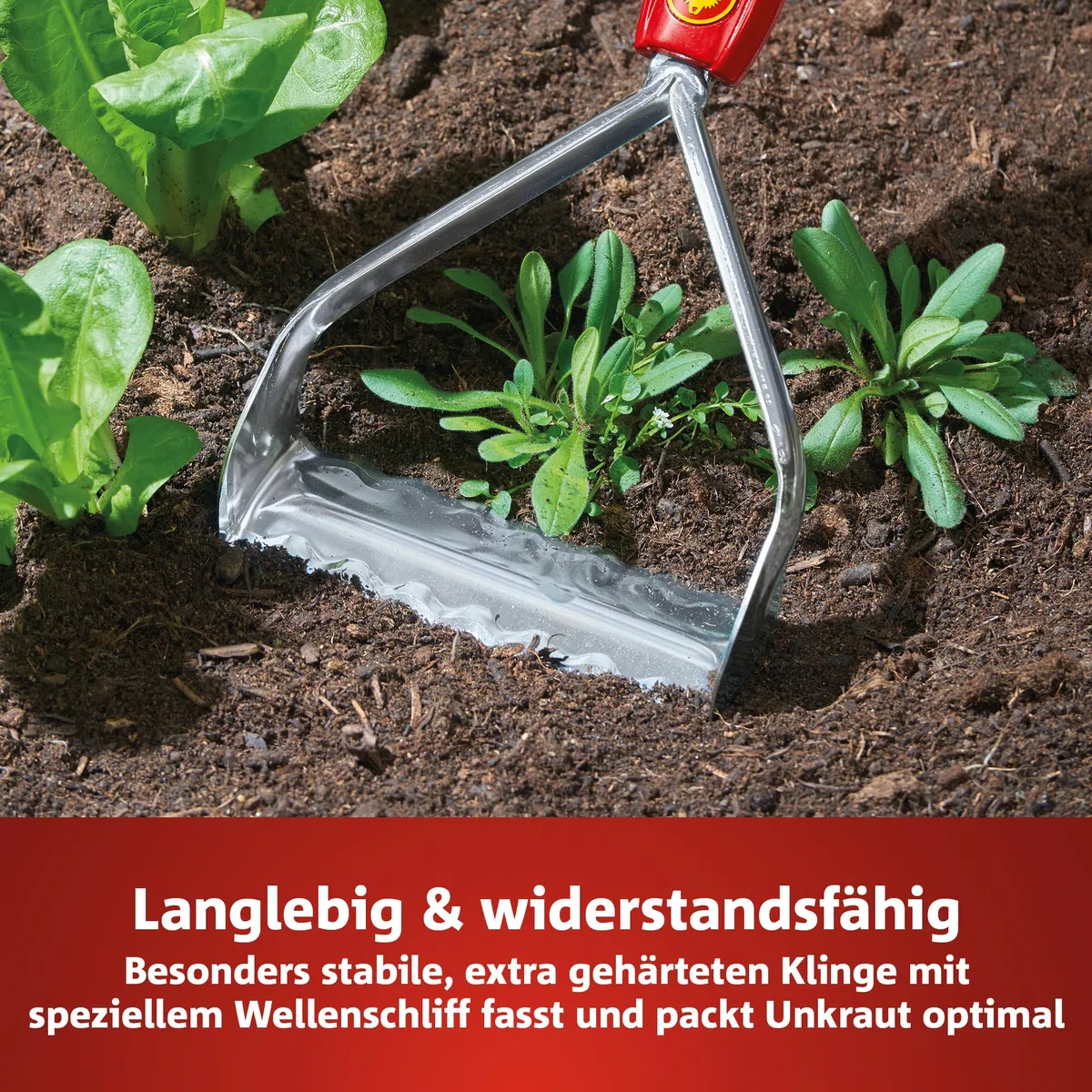 WOLF-Garten multi-star Unkrautkuli-Aufsatz RF-M (15cm breit, zum Unkrautjäten auf leichten & sandigen Böden, langlebig & witterungsbeständig, passend für multi-star-System) 71AAA015650