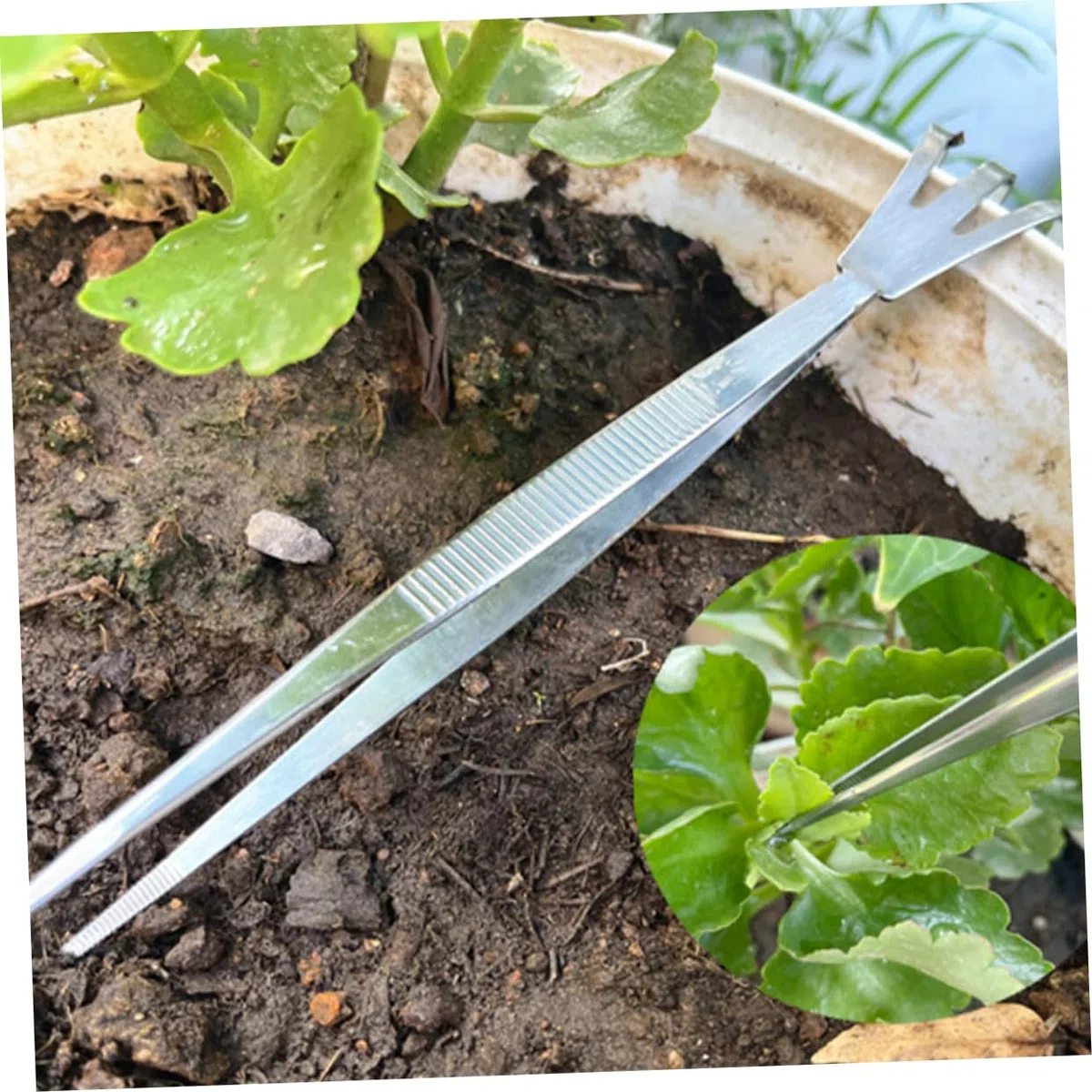 VICASKY Bonsai Pinzette aus Edelstahl für Garten und Innenbereich Leichtes Verdichtungswerkzeug mit Schaufelpinzette zum Moos Entfernen und Boden Lockern