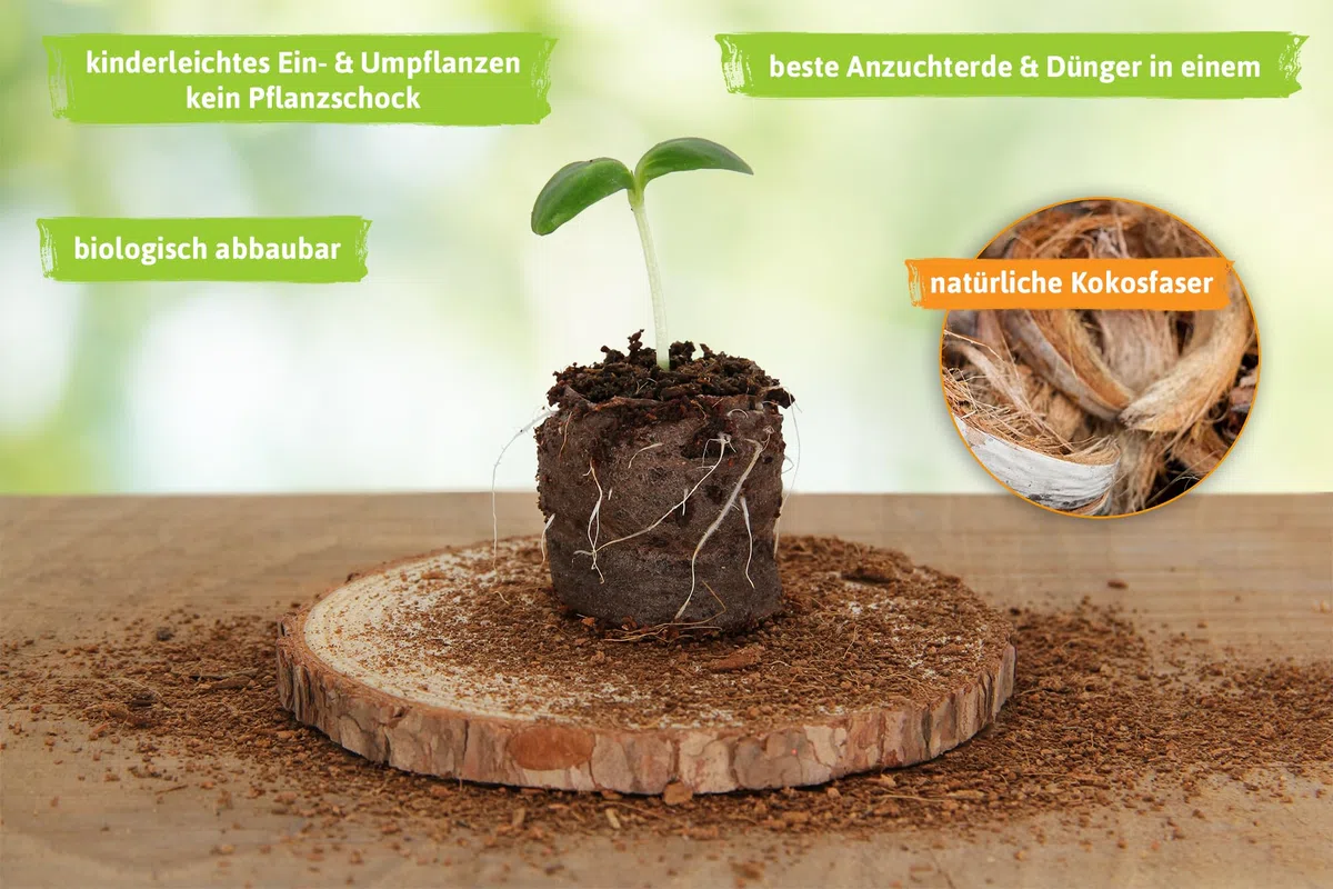FLORTUS – Kokos Quelltabletten aus Anzuchterde mit NPK Dünger – 140 Stück (36 mm) Kokos Quelltabs torffrei & biologisch abbaubar – Kokoserde für Pflanzen Anzucht – Anzuchterde aus Kokosfaser