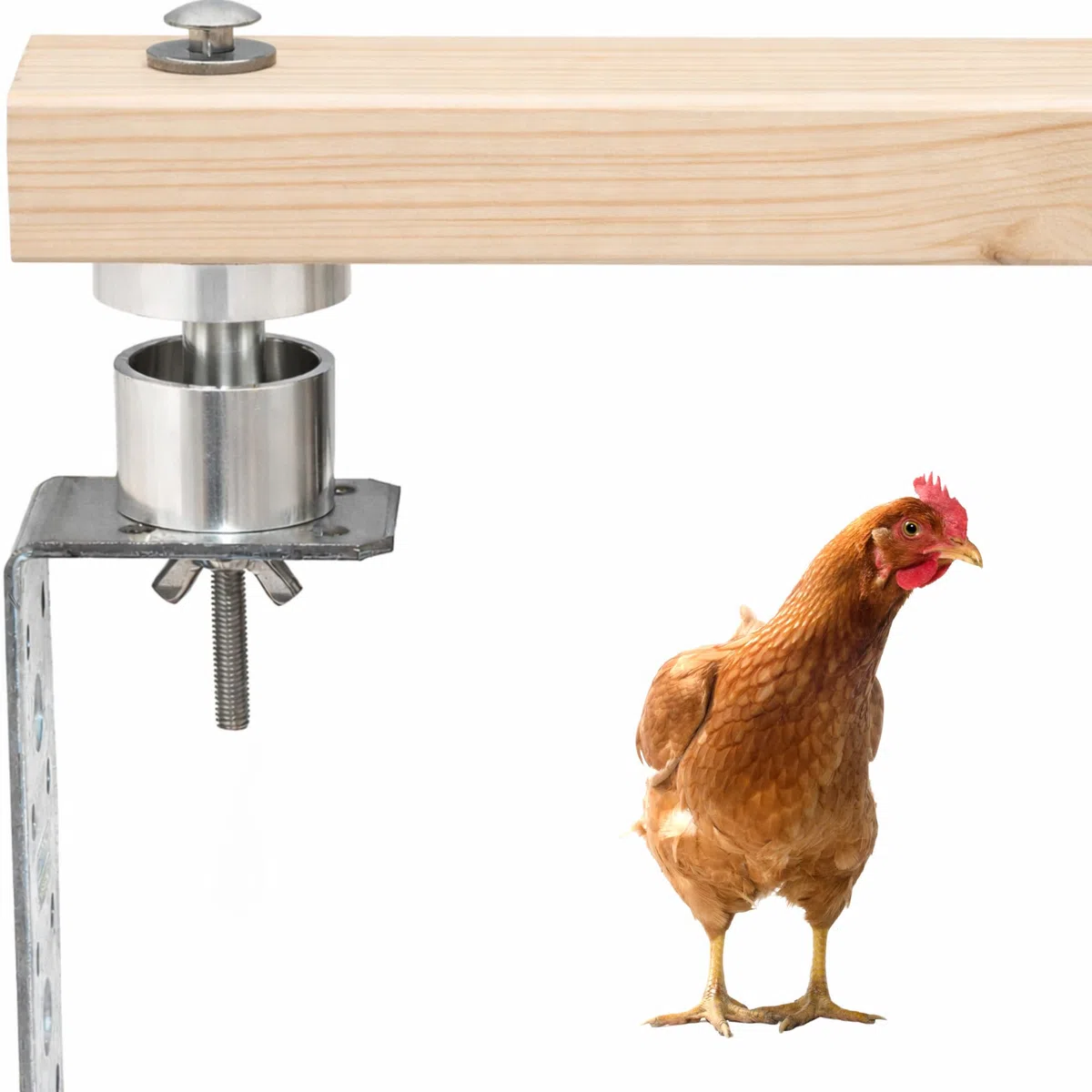 KikeriClean Milbensperre für Hühnerstange 2er Set – Aluminium CNC gefräst – Milbenfalle/Milbenstopp gegen rote Vogelmilbe (2, Milbensperre + Winkel & Schrauben (2er Set))
