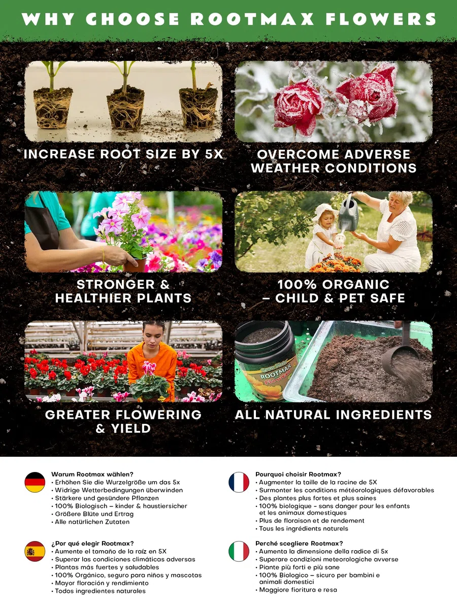 RootMax Flower: Mykorrhiza-Bewurzelungspulver & Wurzelaktivator für Stecklinge & Pflanzen - Verbessertes Wurzelwachstum für gesündere Gärten - Behandelt bis zu 100 Pflanzen (500 g/17.63 oz)
