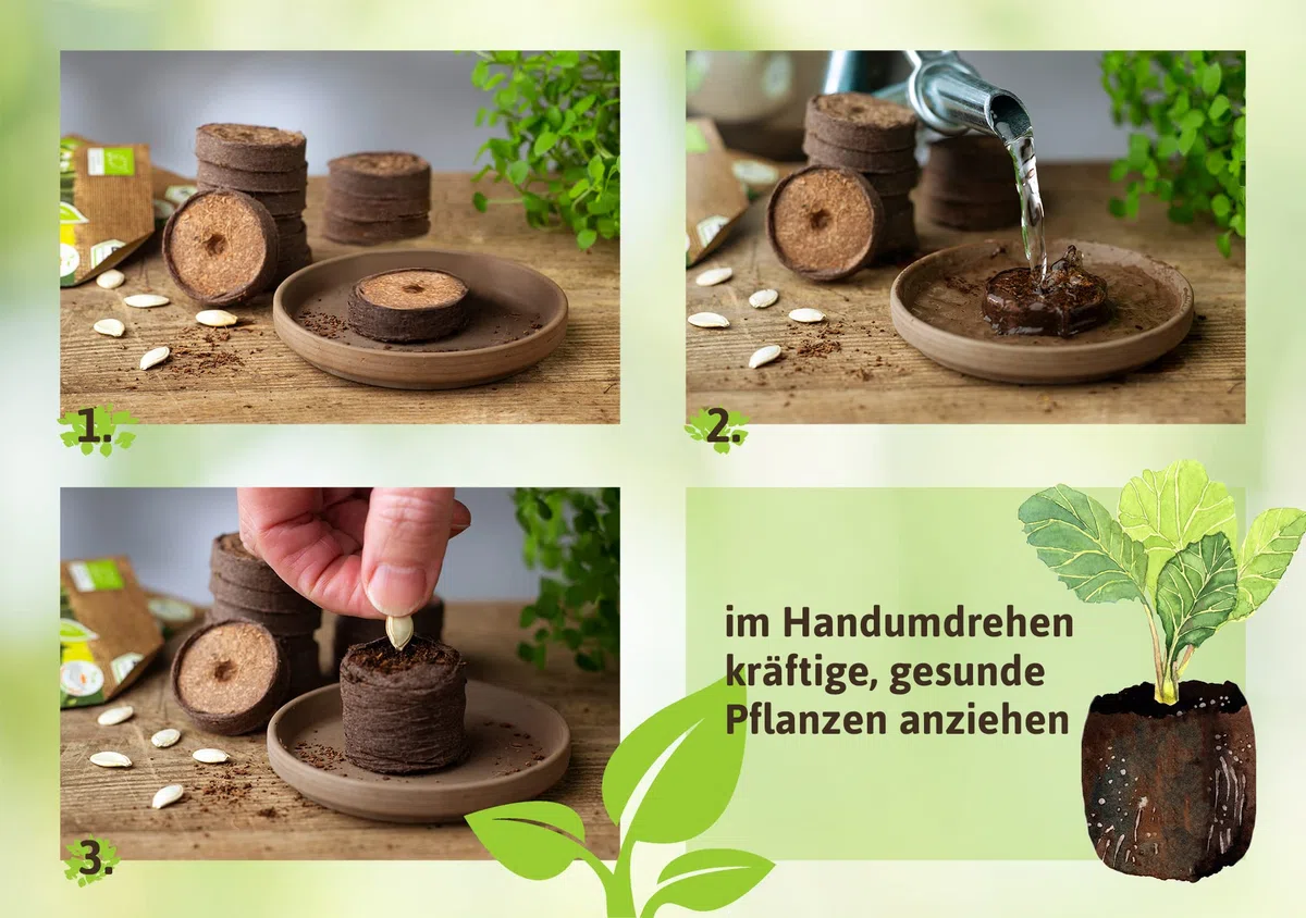 FLORTUS – Kokos Quelltabletten aus Anzuchterde mit NPK Dünger – 140 Stück (36 mm) Kokos Quelltabs torffrei & biologisch abbaubar – Kokoserde für Pflanzen Anzucht – Anzuchterde aus Kokosfaser