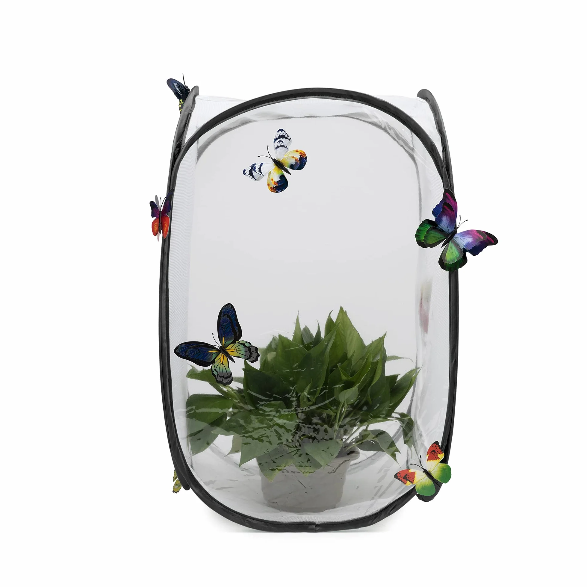 Hyindoor Insekt Und Schmetterling Habitat Käfig Terrarium Schutz Käfig Schwarz