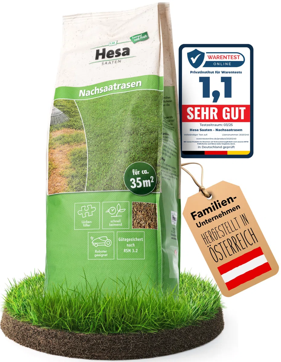 Hesa Nachsaatrasen, 1 kg für 35 m², RSM 3.2, schnellkeimende Rasensamen für kahle Stellen und Lücken im Rasen, belastbare Nachsaat zur Rasenreparatur, Made in Austria