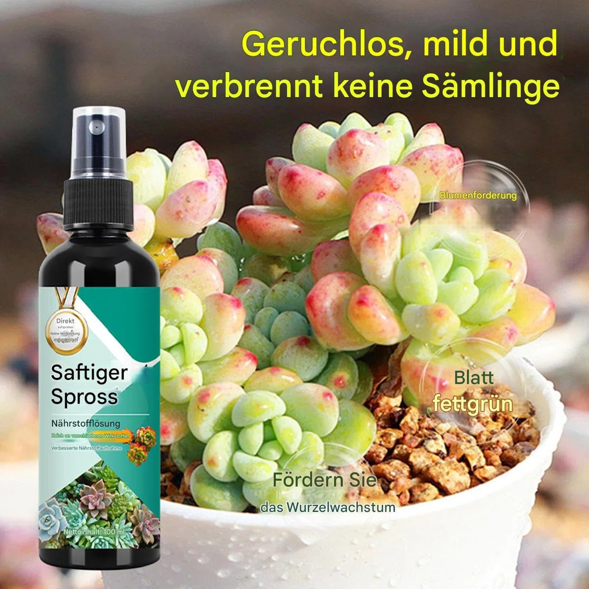 Kakteendünger | 100ml Kakteen & Sukkulentendünger | Kaktusdünger Mit Pflanzensaft | Langsam Freisetzender Flüssigdünger Für Nachhaltiges Wachstum Vermehrung Innen Außen Pflege Verschiedene