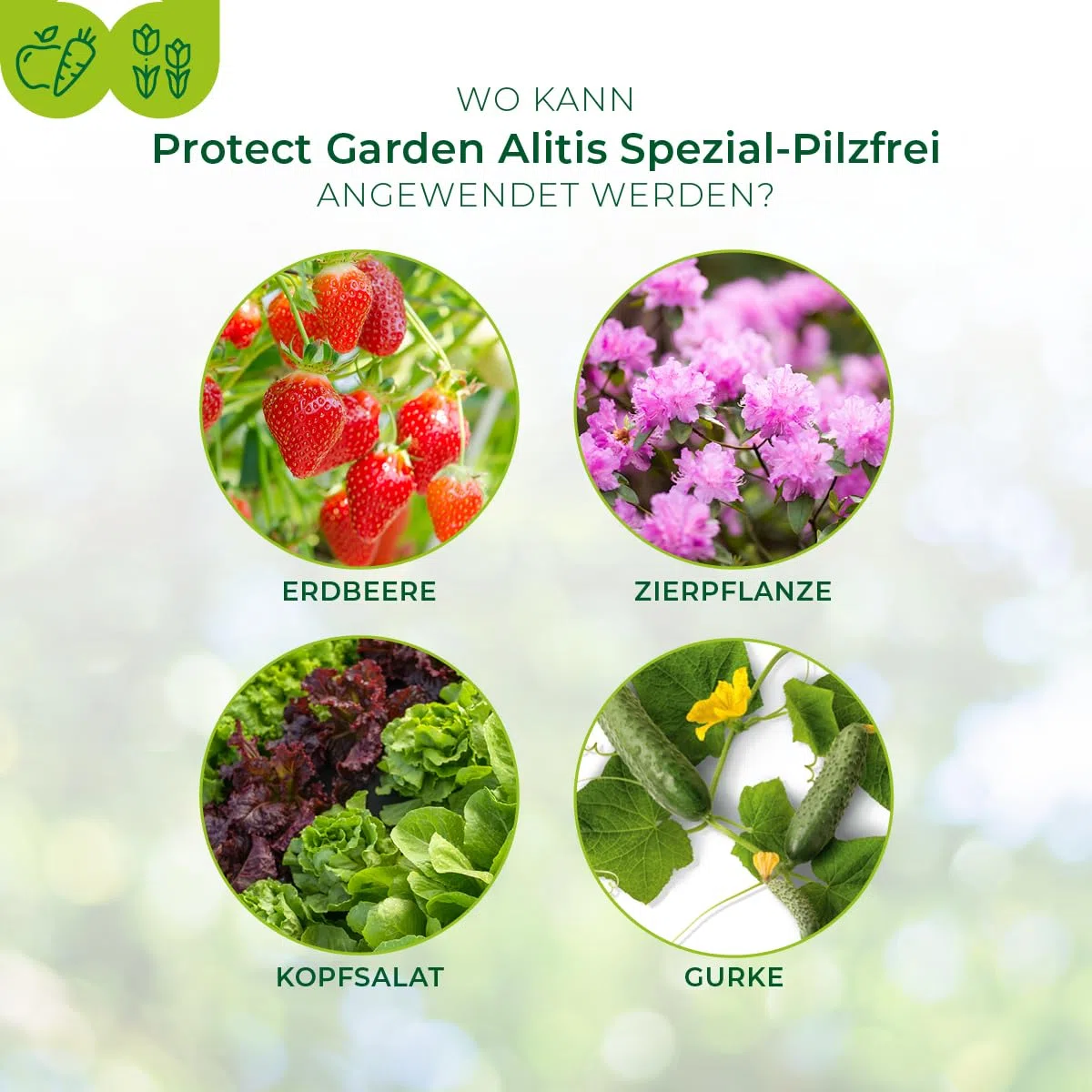 PROTECT GARDEN Alitis Spezial-Pilzfrei, gegen Pilzkrankheiten wie Wurzelfäule, Welkepilze und Triebsterben an Zierpflanzen, Obst und Gemüse, 40 g