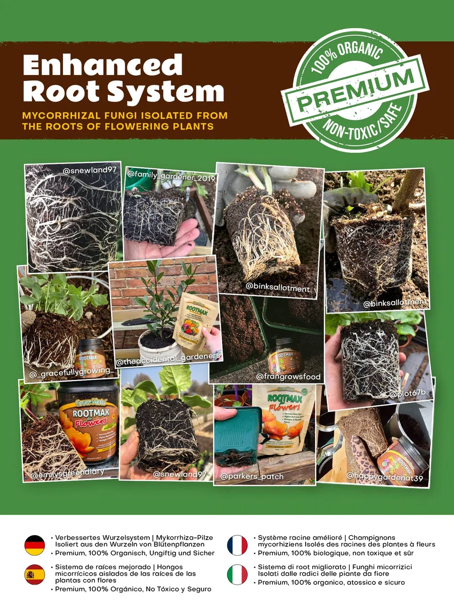 RootMax Flower: Mykorrhiza-Bewurzelungspulver & Wurzelaktivator für Stecklinge & Pflanzen - Verbessertes Wurzelwachstum für gesündere Gärten - Behandelt bis zu 100 Pflanzen (500 g/17.63 oz)