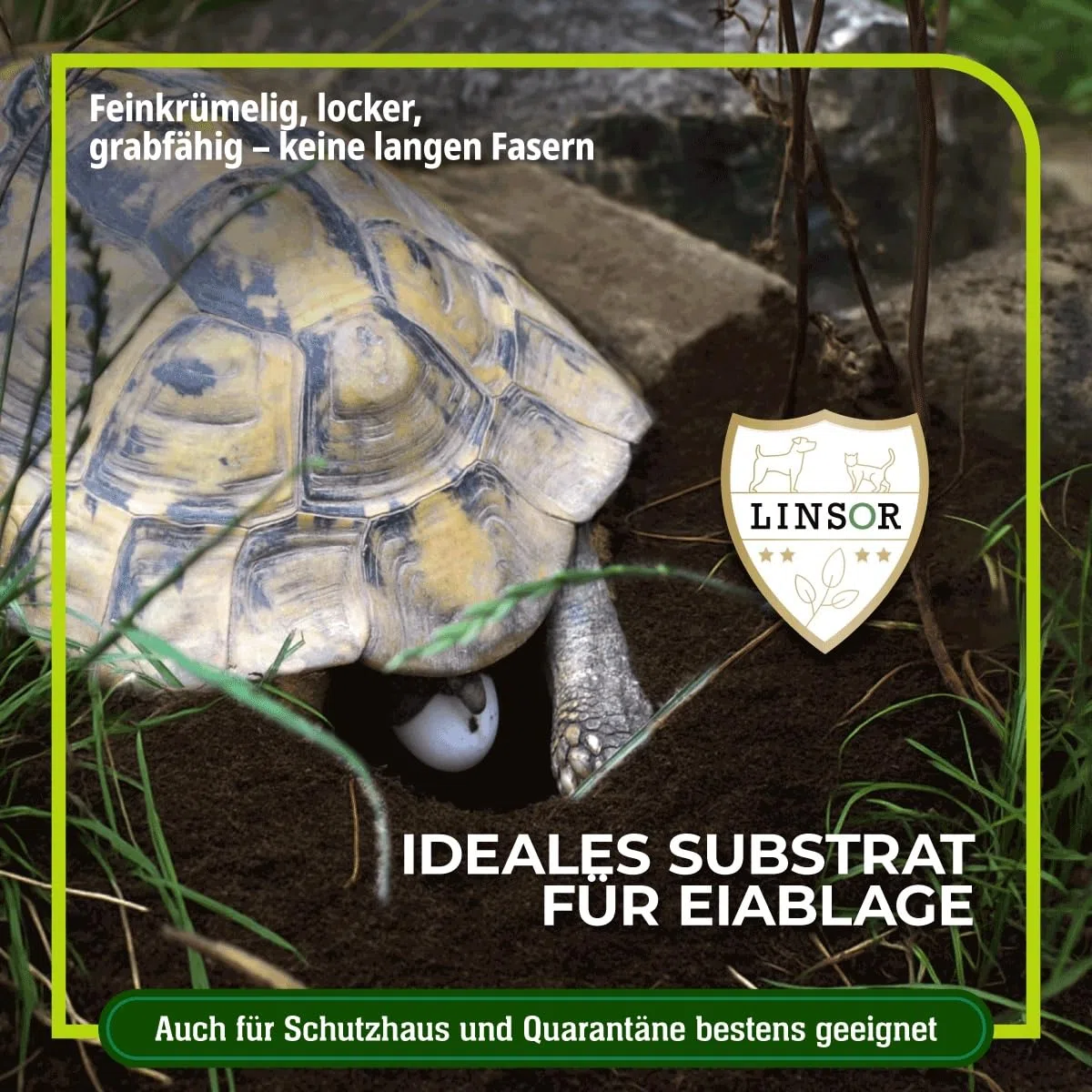 Schildkrötensubstrat 40 L – natürliche Schildkrötenerde ohne Dünger, feinkrümelig und grabfähig für Landschildkröten als Erde mit natürlicher Struktur