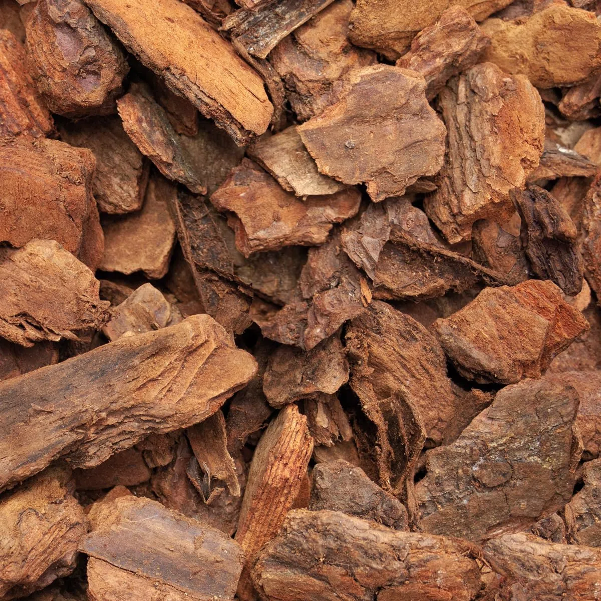 GALAMIO Pinienrinde Deko 40-60mm – 60L Sack Pinienmulch Rindenmulch Garten | Naturbelassener Rindenmulch aus südeuropäischer Mittelmeerkiefer – dekorative Grob-Körnung für Wege, Böschungen & Flächen