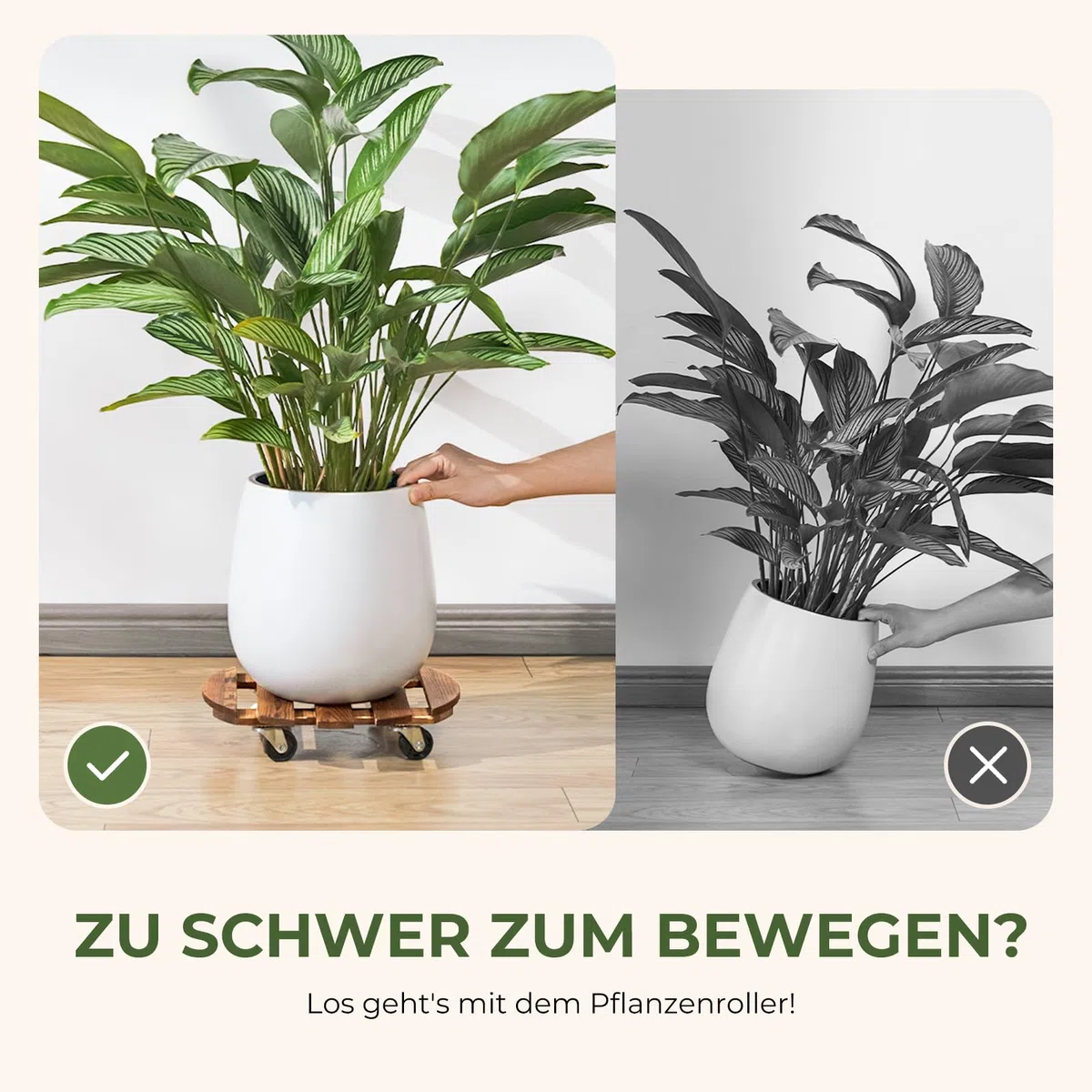Bamworld Pflanzenroller Holz Rund 2er Set – stabiler Pflanzenroller Outdoor wetterfest mit Bremse, Blumentopf Untersetzer mit Rollen Ø 30.5 cm, Pflanzenuntersetzer mit Rollen für Innen & Außen