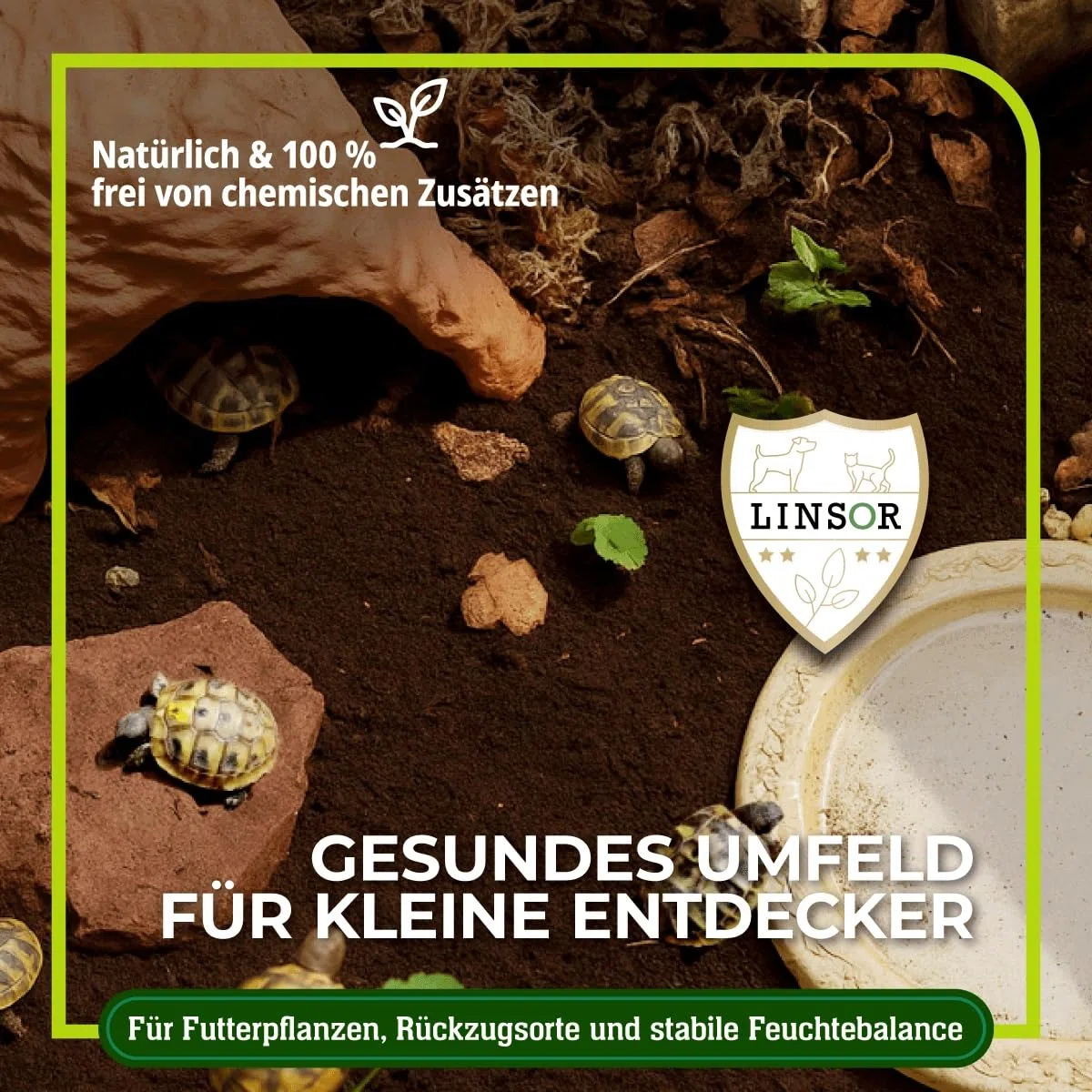 Schildkrötensubstrat 40 L – natürliche Schildkrötenerde ohne Dünger, feinkrümelig und grabfähig für Landschildkröten als Erde mit natürlicher Struktur