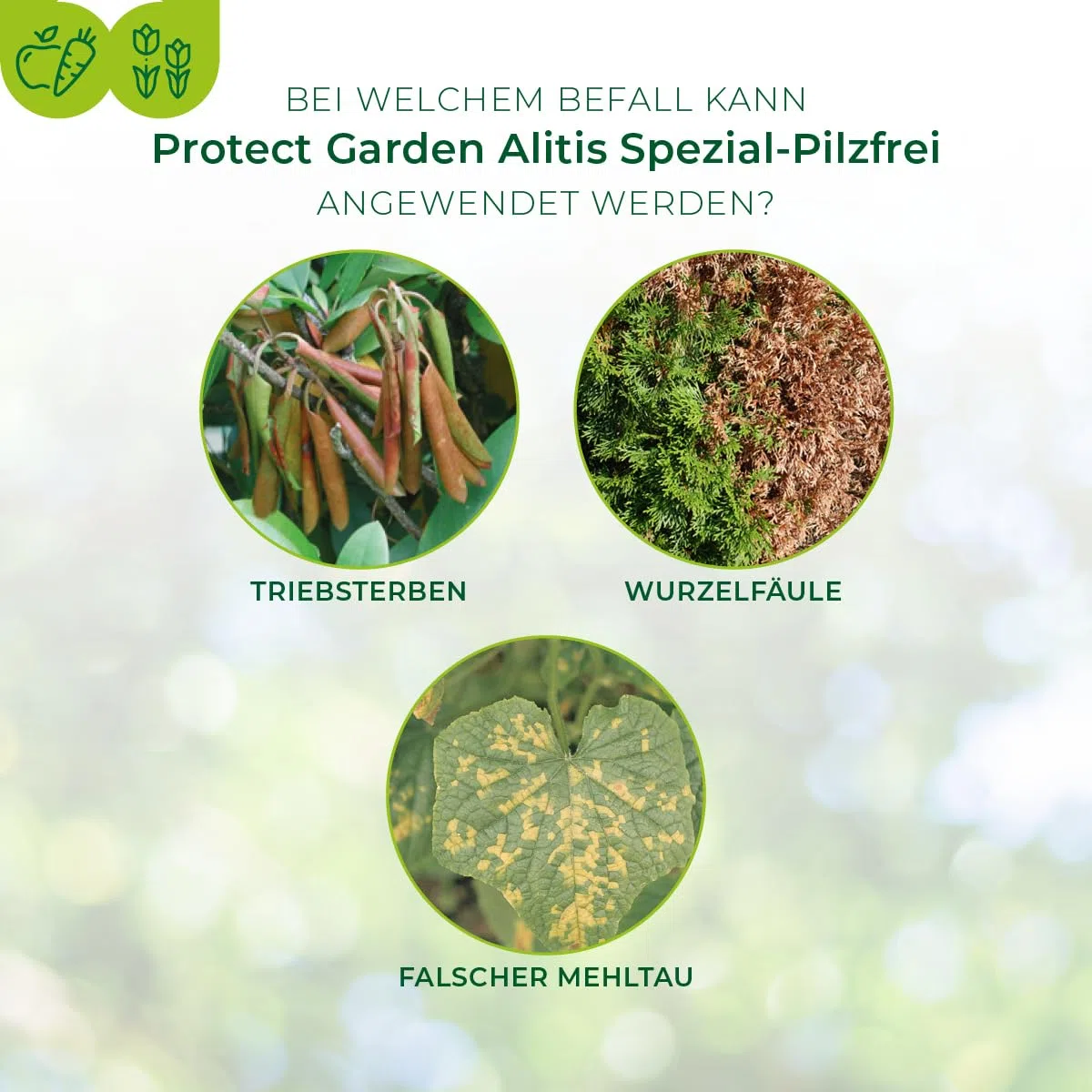 PROTECT GARDEN Alitis Spezial-Pilzfrei, gegen Pilzkrankheiten wie Wurzelfäule, Welkepilze und Triebsterben an Zierpflanzen, Obst und Gemüse, 40 g
