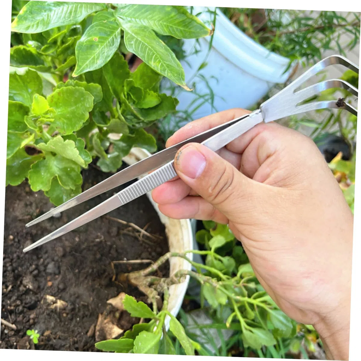 VICASKY Bonsai Pinzette aus Edelstahl für Garten und Innenbereich Leichtes Verdichtungswerkzeug mit Schaufelpinzette zum Moos Entfernen und Boden Lockern