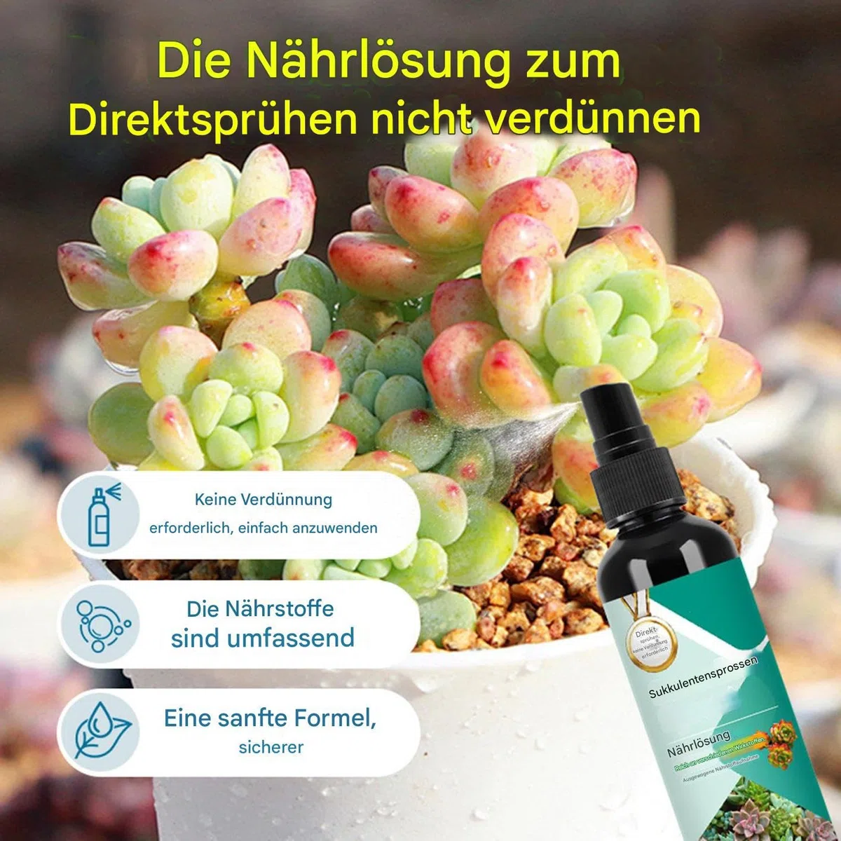 Kakteendünger | 100ml Kakteen & Sukkulentendünger | Kaktusdünger Mit Pflanzensaft | Langsam Freisetzender Flüssigdünger Für Nachhaltiges Wachstum Vermehrung Innen Außen Pflege Verschiedene