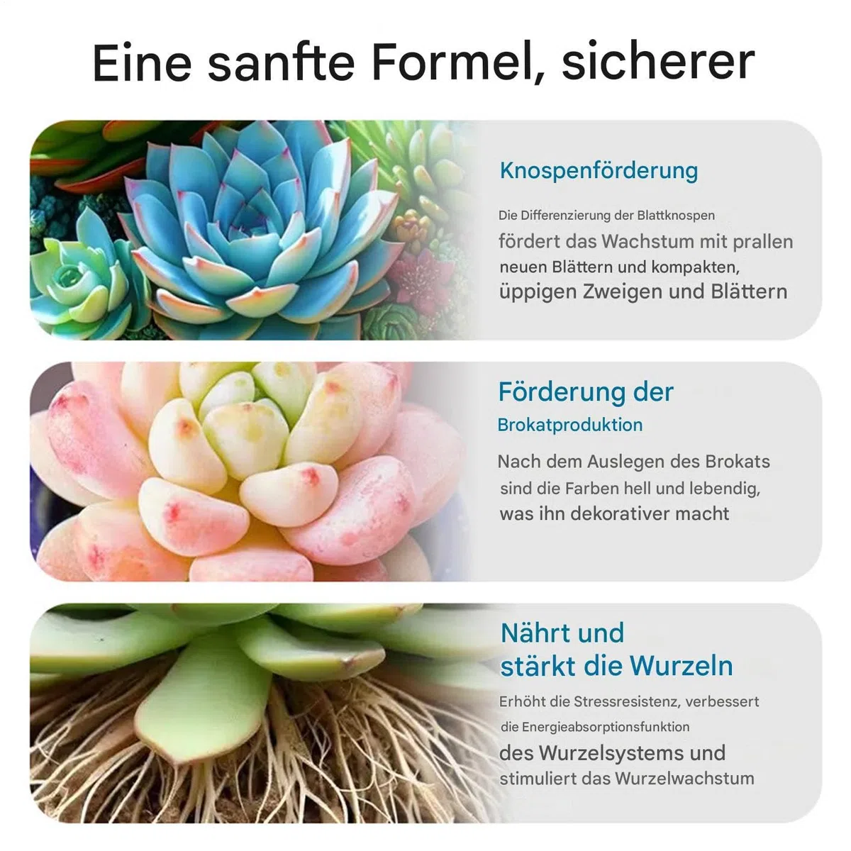 Kakteendünger | 100ml Kakteen & Sukkulentendünger | Kaktusdünger Mit Pflanzensaft | Langsam Freisetzender Flüssigdünger Für Nachhaltiges Wachstum Vermehrung Innen Außen Pflege Verschiedene
