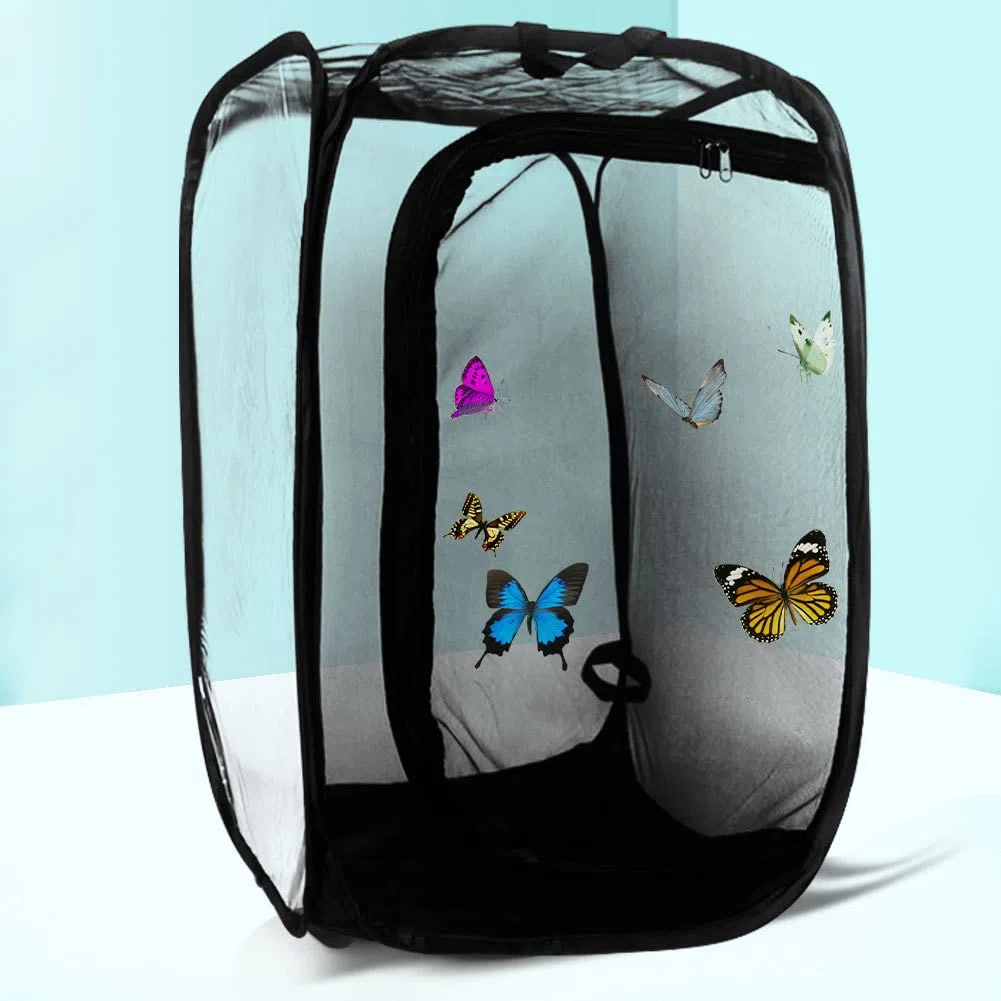 Insekten Und Schmetterling Habitat Käfig Schutz Käfig Schwarz Insekten Und Schmetterlingsnetz, Schutz Käfig, Faltbares Transparent Gewächshaus Wachsen Haus, Schmetterling Netz Netzkäfig