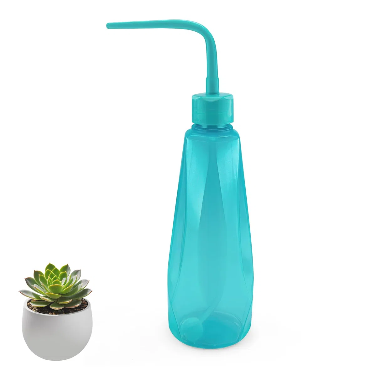 Kleine Gießkanne für Zimmerpflanzen, 450 ml Mini Giesskanne, Bewässerung Flasche für Sukkulente Kaktus Sämlinge Bonsai (Blau)