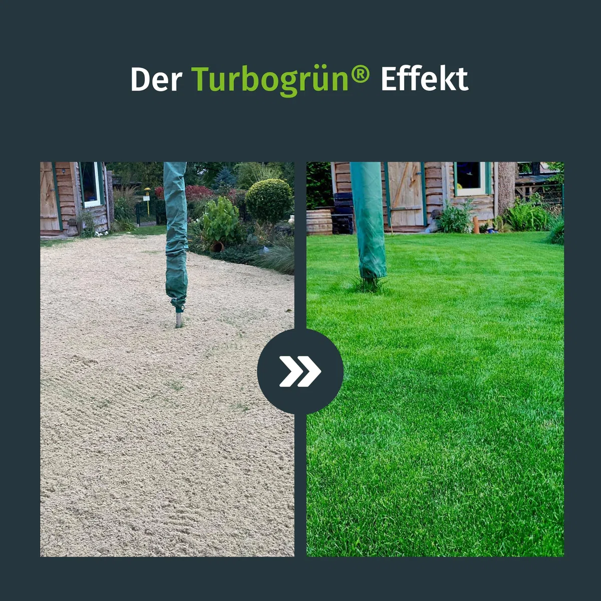 Turbogrün Rasensand, grober Quarzsand 0,2–2 mm, ideal zum Rasen sanden und Aerifizieren, verbessert Drainage und Bodenstruktur, für Garten und Sportflächen, 18 kg Sack